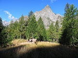 bdvalle20 011
